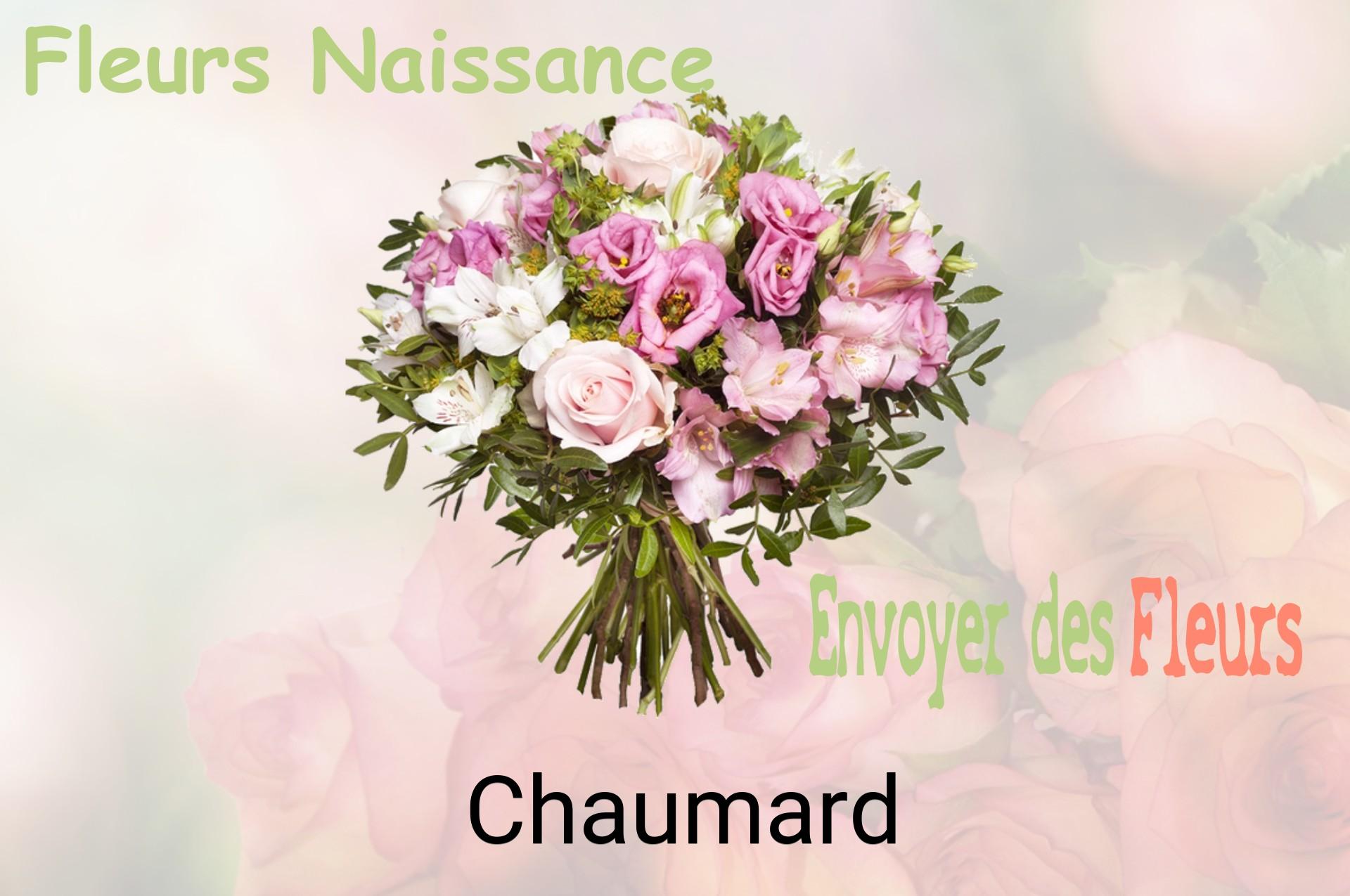 Bouquet de fleurs de naissance livré à Chaumard